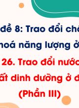 Bài 26. Trao đổi nước và các chất dinh dưỡng ở động vật (Phần III)